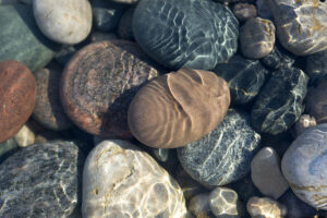 Looking straight down at rocks of various shapes, sizes and colors that are in clear, calm water.